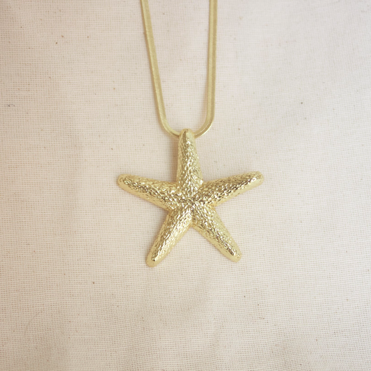 Collar cadena planchada dije estrella de mar